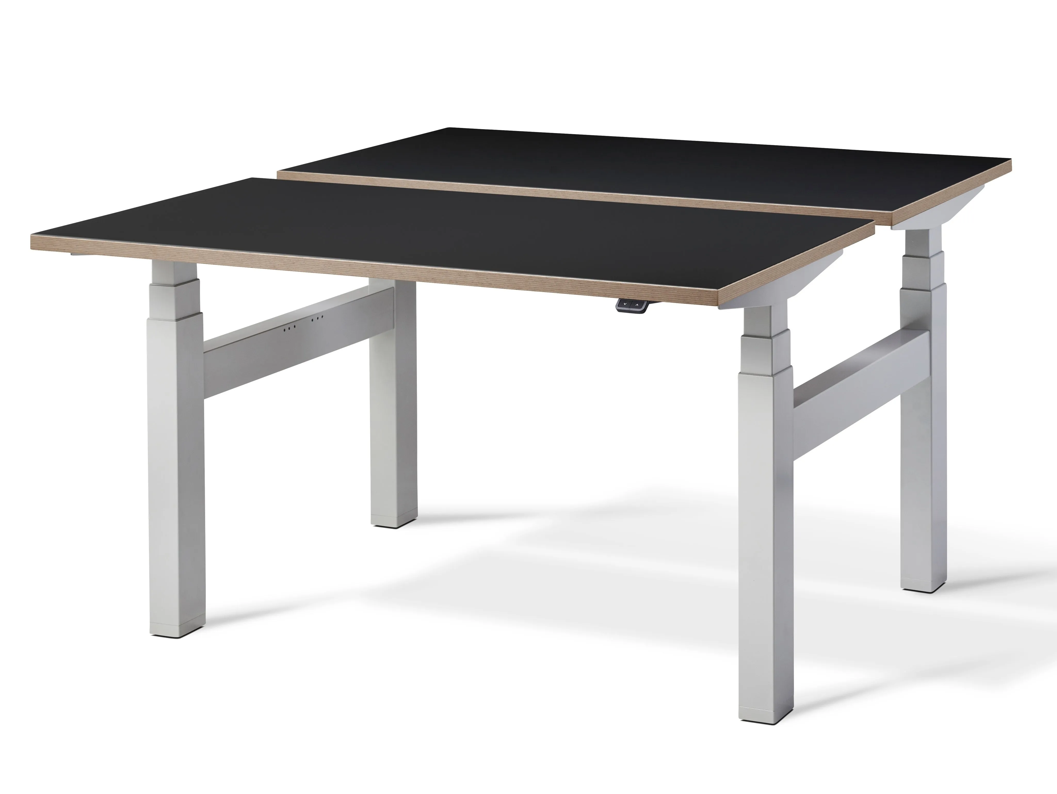 Duo Height Adjustable Double Standing Desk (with Bluetooth control)