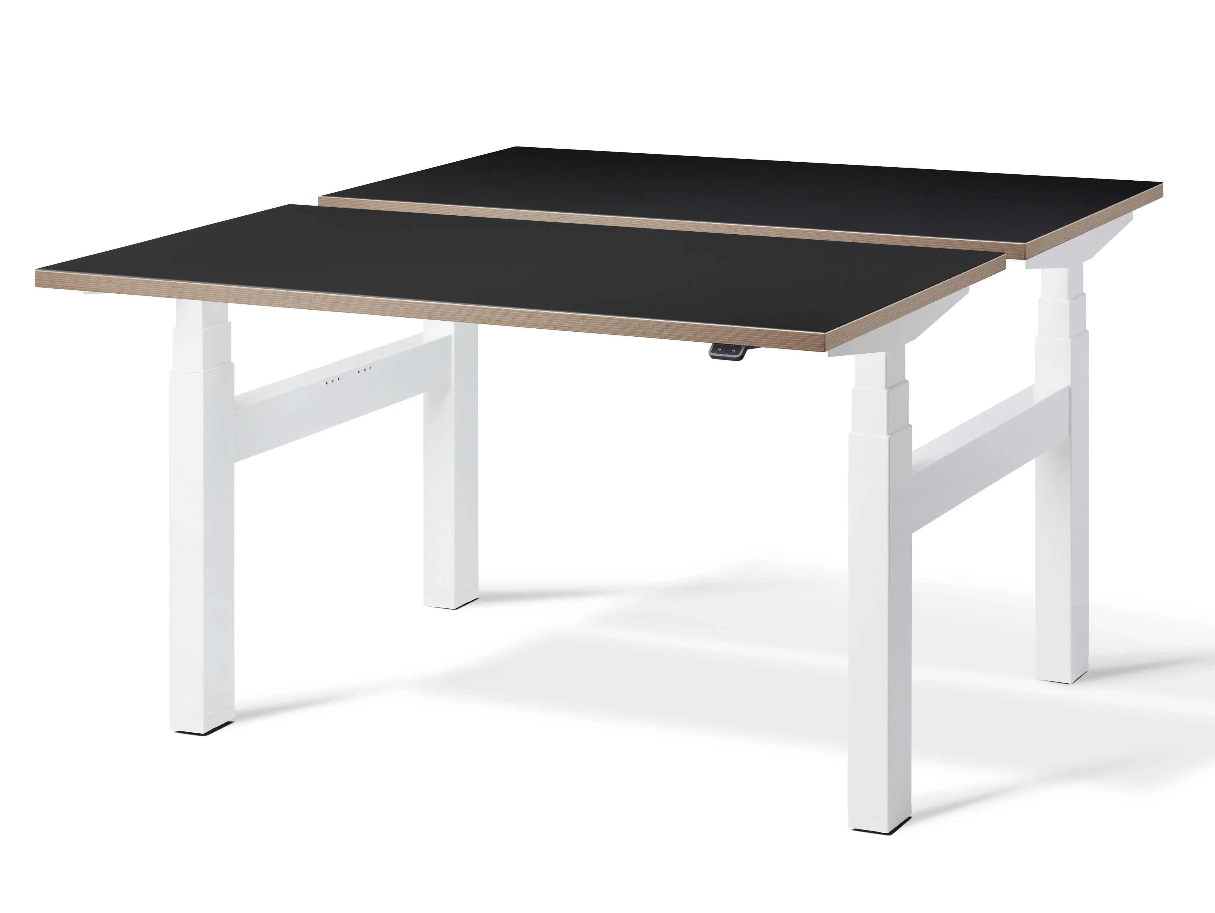 Duo Height Adjustable Double Standing Desk (with Bluetooth control)