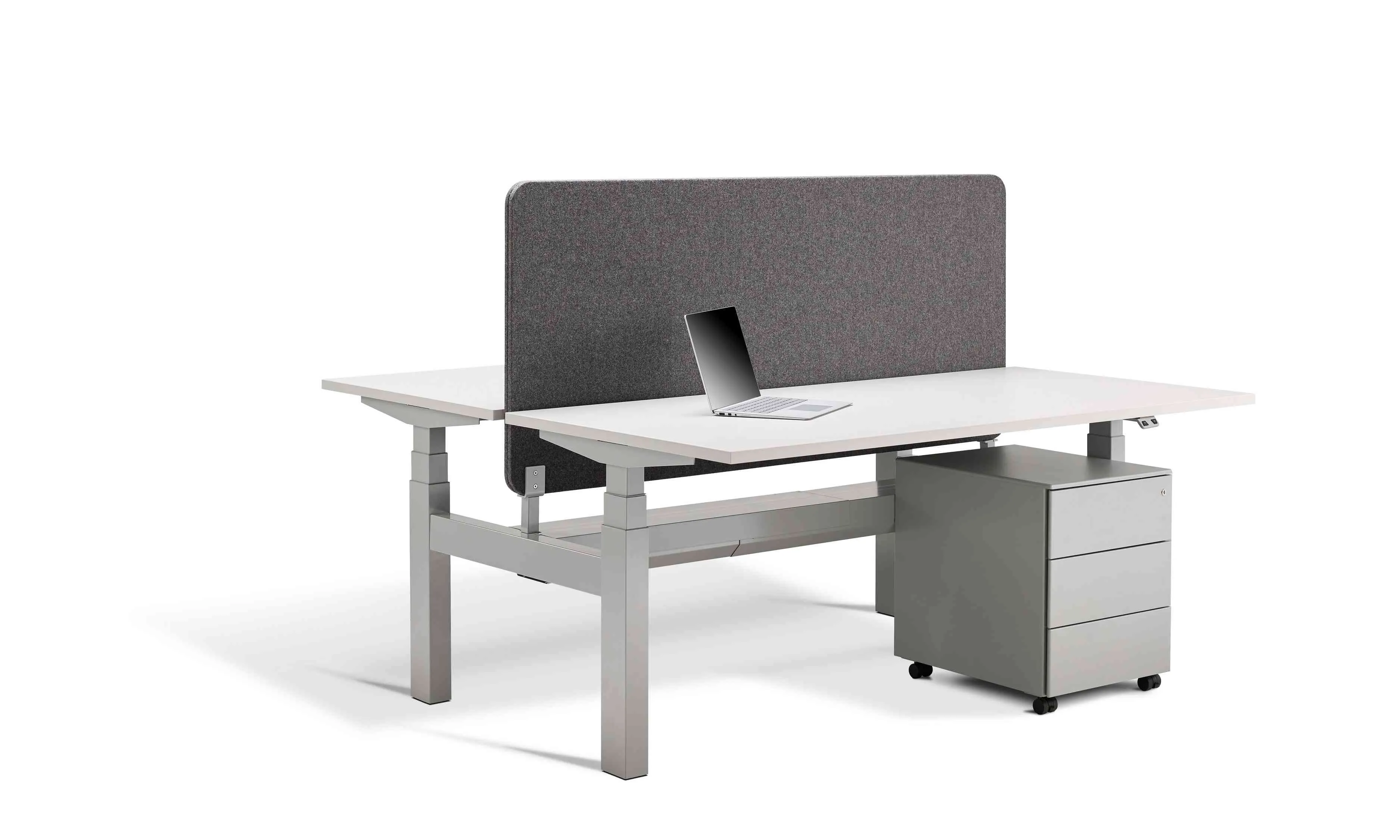 Duo Height Adjustable Double Standing Desk (with Bluetooth control)