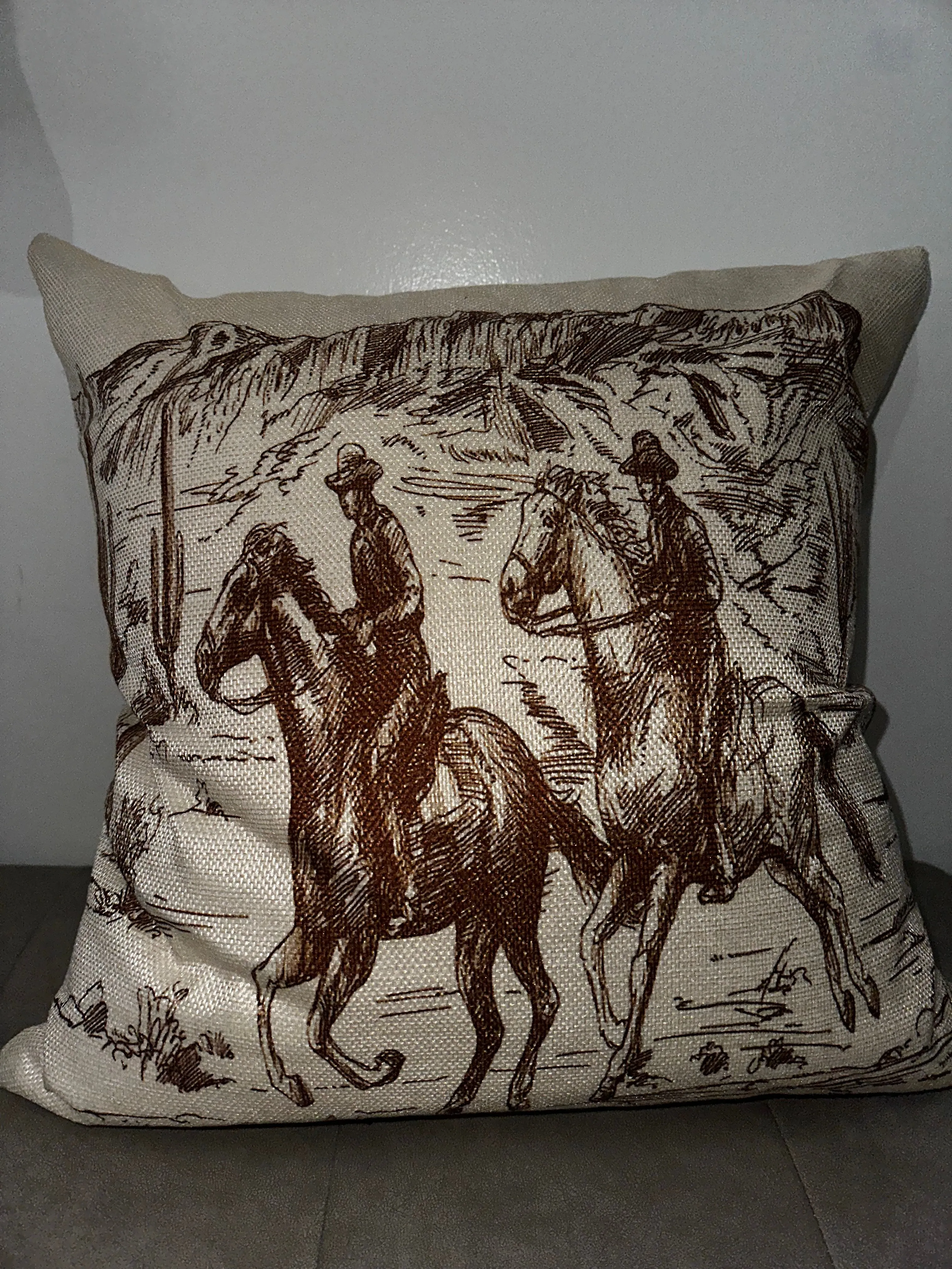 Western Themed Throw Pillows